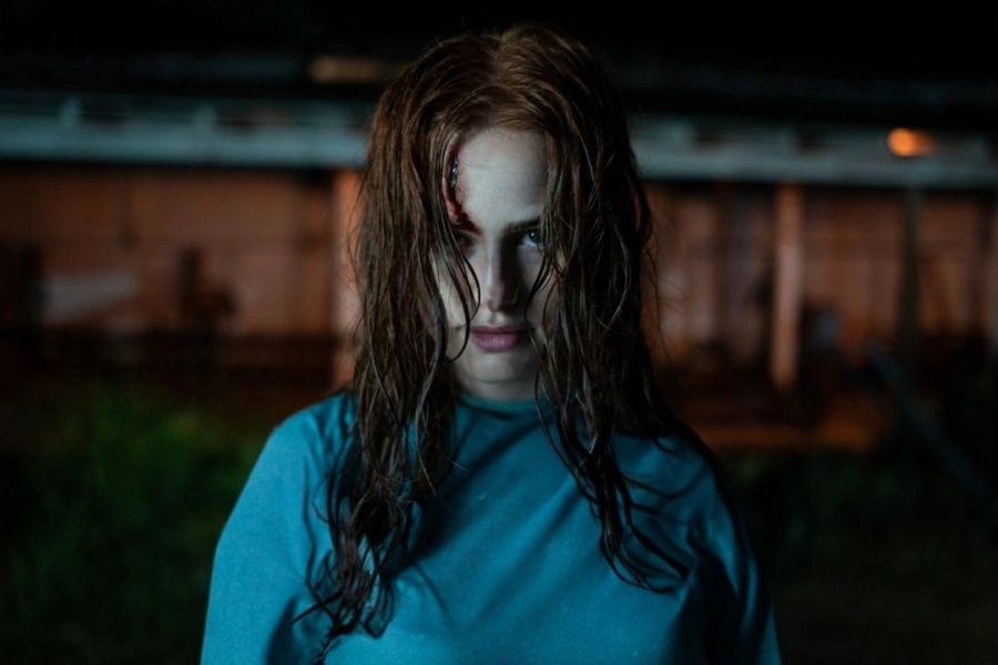 The Strangers: Chapter 2